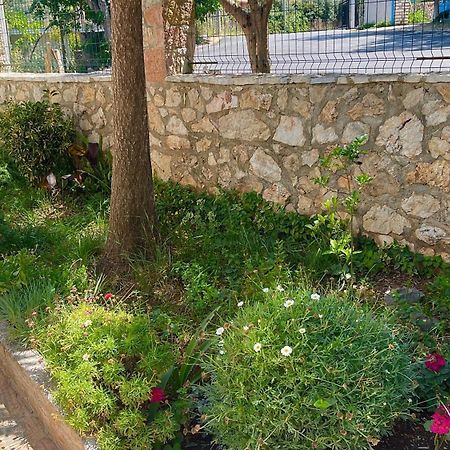 Guesthouse Shehu Ксамил Екстериор снимка