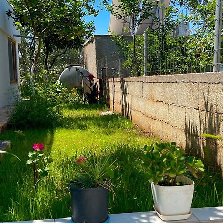 Guesthouse Shehu Ксамил Екстериор снимка